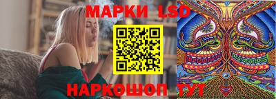 Альфа ПВП Дубна