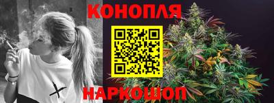 Альфа ПВП Дубна